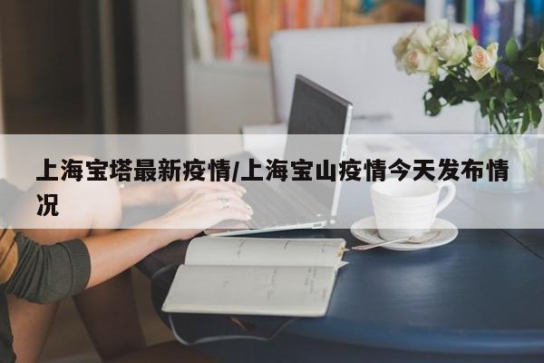 上海宝塔最新疫情/上海宝山疫情今天发布情况